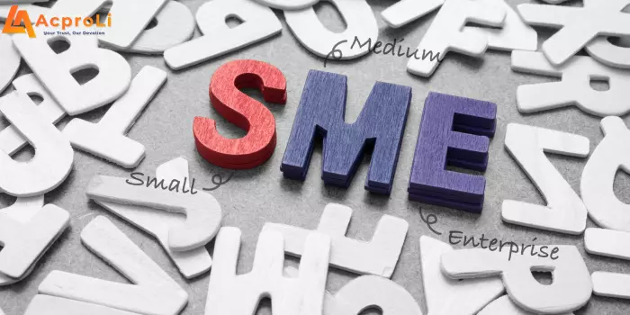 Dịch Vụ Kế Toán Cho Doanh Nghiệp Vừa Và Nhỏ